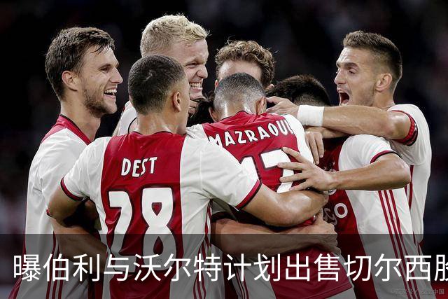 曝伯利与沃尔特计划出售切尔西股份 俱乐部估值50亿镑